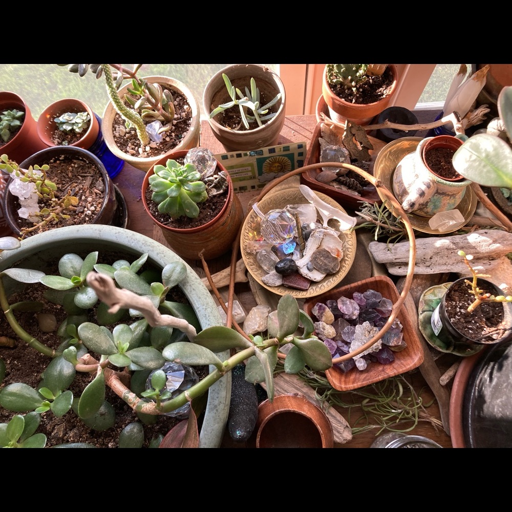 ♲︎꧁𝑺𝒉𝒂𝒓𝒊𝒏𝒈 𝒊𝒔 𝑪𝒂𝒓𝒊𝒏𝒈꧂♲︎ - Picture 7 of 16